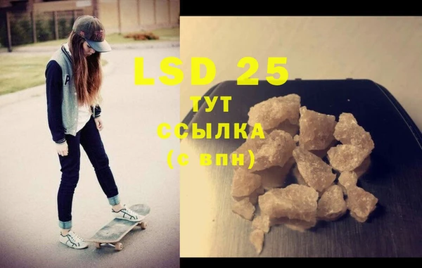 дмт Богданович