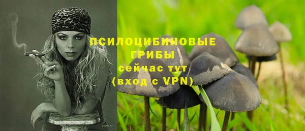 сатива Беломорск