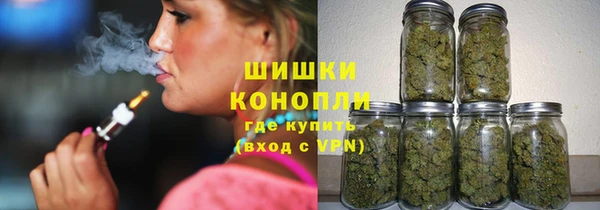 сатива Беломорск