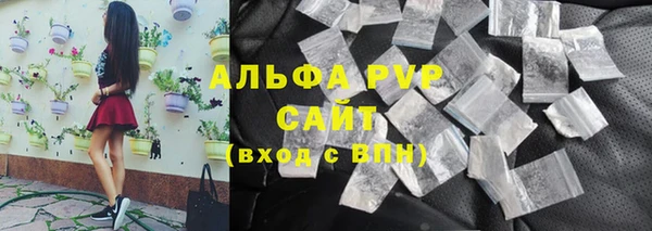 сатива Беломорск