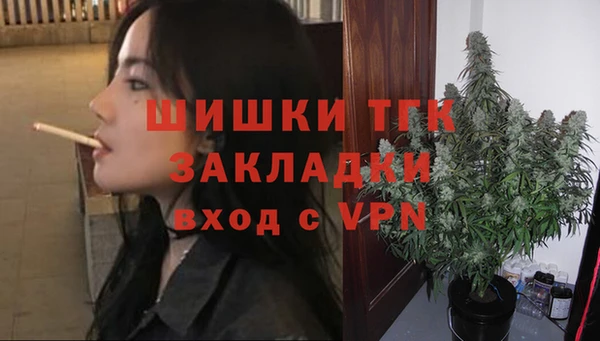 сатива Беломорск